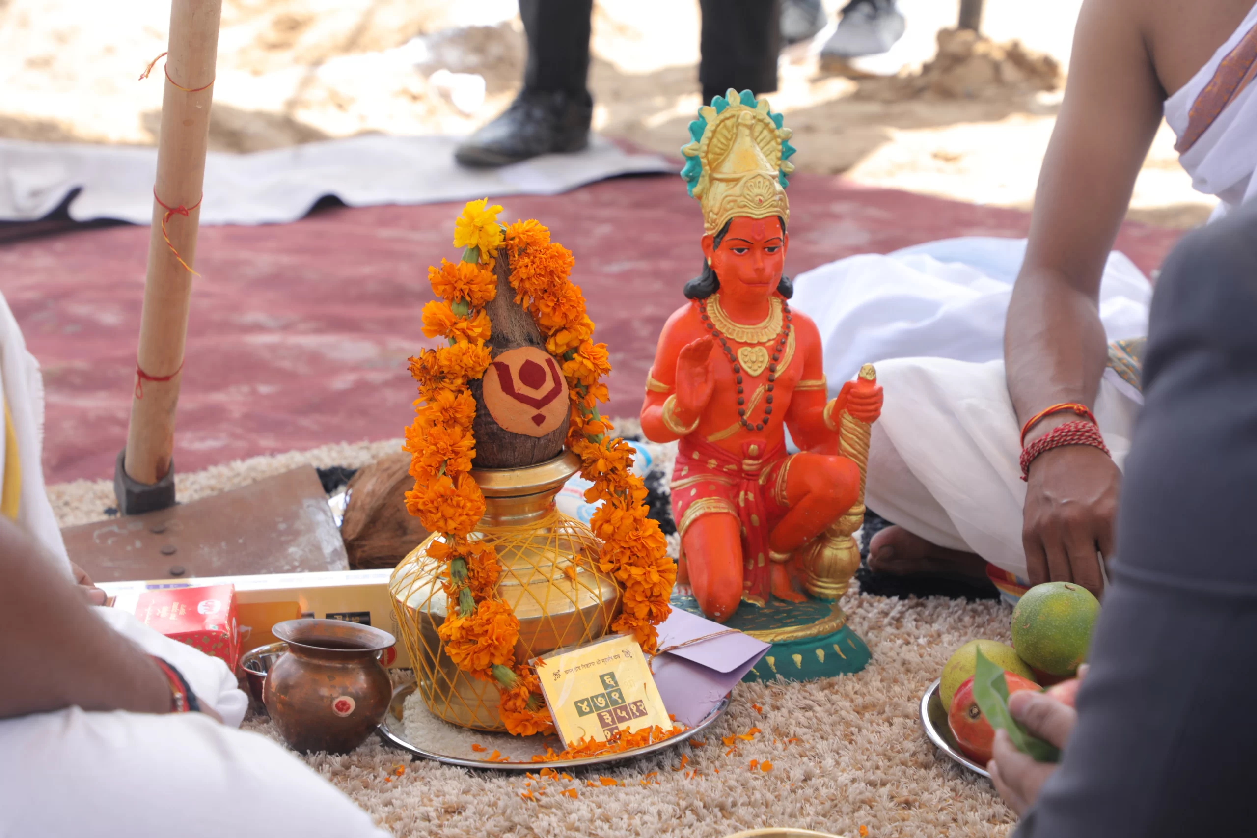 True Habitat Gallery Image 2